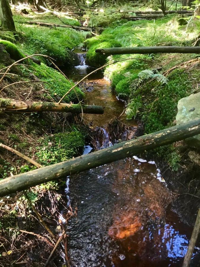 Ferienwohnung Gipfelnest Braunlage Eksteriør bilde